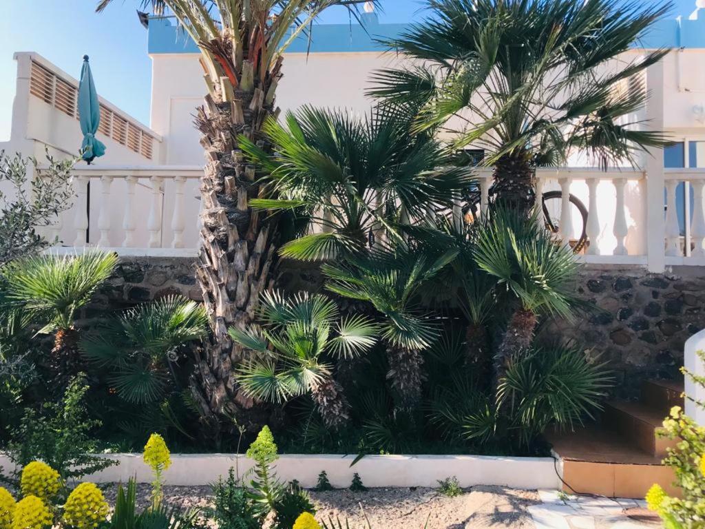 Bungalows & Estudios Los Escullos Almería Dış mekan fotoğraf